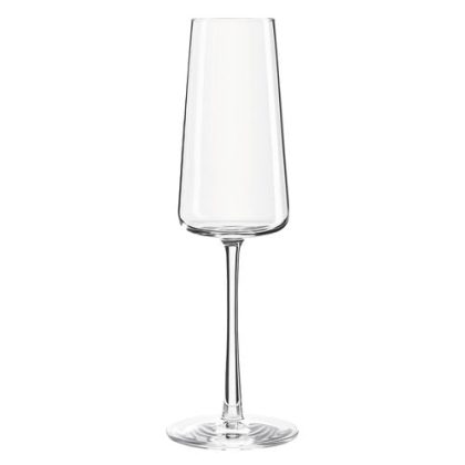 G159-29 DPS Power Champagne Flute 238ml 8.5oz