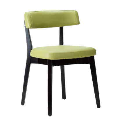 Nico Veneto Lime Green Faux Black Frame - 602-974 1