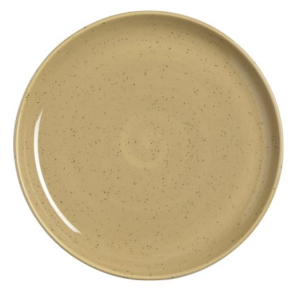 12160639 Steelite Amari Dijon Nordic Coupe Plate 28cm 11in